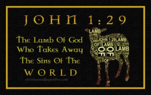 Lamb Of God On Framed Canvas John 1 Verse 29